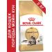 ROYAL CANIN Main Coon Adult for Cat 2 kg Main Kun