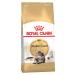 ROYAL CANIN Main Coon Adult for Cat 2 kg Main Kun - Buy Online on GoSupps.com