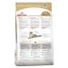 ROYAL CANIN Main Coon Adult for Cat 2 kg Main Kun - Buy Online on GoSupps.com