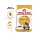 ROYAL CANIN Main Coon Adult for Cat 2 kg Main Kun - Buy Online on GoSupps.com
