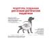 ROYAL CANIN GastroinTestinal Low FAT for dogs 1.5 kg Low Fat - Buy Online on GoSupps.com