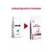ROYAL CANIN Renal with renal failure for dogs 2 kg Renal - Buy Online on GoSupps.com