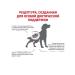 ROYAL CANIN Renal with renal failure for dogs 2 kg Renal - Buy Online on GoSupps.com
