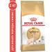 ROYAL CANIN SPhynx Adult for cats 2 kg Sphinx - Buy Online on GoSupps.com