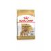 ROYAL CANIN Dry food for Pomeranian spitz 1.5 kg - Buy Online on GoSupps.com