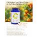 Lifetime About Vitamin C - Buy Online on GoSupps.com