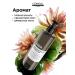 L'Oreal Professionnel ABSOLUT REPAIR MOLECUlar to restore hair - Buy Online on GoSupps.com
