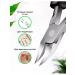 QuisLife Shaber Pedicure Pleshot for an ingrown nail - Buy Online on GoSupps.com
