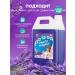 Clean Year Liquid soap for hand and body lavender 5l - Buy Online on GoSupps.com