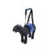 Bentfores Walking straps for dogs m - Buy Online on GoSupps.com