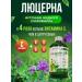 VeganNova Chlorophyll natural 500 ml - Buy Online on GoSupps.com
