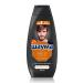 Schauma Hair shampoo male sports energy 2-in-1 360 ml - Buy Online on GoSupps.com