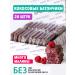 Sportberry Chocolate Batoner Kosos-Malina 20pc x 40g