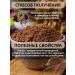 MOLPROM Cocoa natural powder without sugar GOST 400G without GMOs - Buy Online on GoSupps.com