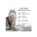 SECRET FOR PETS premium Dry food for cats salmon 2 kg secret - Buy Online on GoSupps.com