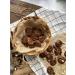 ECORTY Cookies without gluten without lactose chocolate 100% natural - Buy Online on GoSupps.com