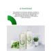Ollin Professional Hair set Restoring Ollin Care - Buy Online on GoSupps.com