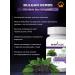 Bulgar Herbs Vitamins for children and adults Buzin black - Buy Online on GoSupps.com