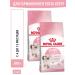 ROYAL CANIN Dry Kitten food for kittens up to 12 months 300g 2pcs
