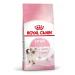 ROYAL CANIN Dry Kitten food for kittens up to 12 months 300g 2pcs - Buy Online on GoSupps.com