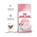 ROYAL CANIN Dry Kitten food for kittens up to 12 months 300g 2pcs - Buy Online on GoSupps.com