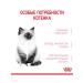 ROYAL CANIN Dry Kitten food for kittens up to 12 months 300g 2pcs - Buy Online on GoSupps.com