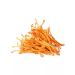 Dobrogrib Cordyceps dried ground 25 g - Buy Online on GoSupps.com
