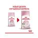 ROYAL CANIN Kitten 0.3 kg - Buy Online on GoSupps.com