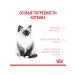ROYAL CANIN Kitten 0.3 kg - Buy Online on GoSupps.com