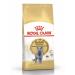 ROYAL CANIN Dry Britishhorthairadult food for British cats 400g - Buy Online on GoSupps.com