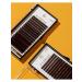 ECHELLE Dark brown eyelashes for building MIX C+ 0.07 6-13 - Buy Online on GoSupps.com