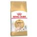 ROYAL CANIN Dry food sphynx adult for sphinx cats 2 kg - Buy Online on GoSupps.com