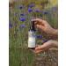 Lavender Land Hydrolate Facial Tonic - Buy Online on GoSupps.com