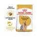 ROYAL CANIN Dry food yorkshireterrier for terriers from 10 months 1.5 kg - Buy Online on GoSupps.com