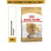 ROYAL CANIN Dry food yorkshireterrier8+ for terriers from 8 years 500g