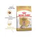ROYAL CANIN Dry food yorkshireterrier8+ for terriers from 8 years 500g - Buy Online on GoSupps.com