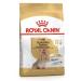 ROYAL CANIN Dry food yorkshireterrier8+ for terriers from 8 years 500g - Buy Online on GoSupps.com
