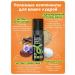 Curl Rock and Roll Strong fixation foam set and indelible cream - Buy Online on GoSupps.com