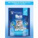 Brit Dry Premium food for kittens chicken salmon 0.4 kg - Buy Online on GoSupps.com