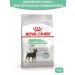 ROYAL CANIN Dry Minidigestive food for small dogs from food senses 1 kg