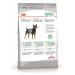 ROYAL CANIN Dry Minidigestive food for small dogs from food senses 1 kg - Buy Online on GoSupps.com
