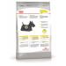 ROYAL CANIN Dry Minidermacomfort for small dogs from itching 1 kg - Buy Online on GoSupps.com