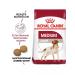 ROYAL CANIN Mediumadult dry food for medium dogs from 12 months to 7 years 3 kg - Buy Online on GoSupps.com