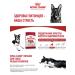 ROYAL CANIN Mediumadult dry food for medium dogs from 12 months to 7 years 3 kg - Buy Online on GoSupps.com