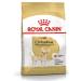 ROYAL CANIN Dry food chihuahua adult for Chihuahua from 8 months 1.5 kg - Buy Online on GoSupps.com