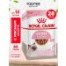 ROYAL CANIN Kitten Kitten kittens in sauce 85 g 28 pcs