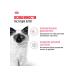 ROYAL CANIN Kitten Kitten kittens in sauce 85 g 28 pcs - Buy Online on GoSupps.com