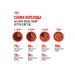 ROYAL CANIN Kitten Kitten kittens in sauce 85 g 28 pcs - Buy Online on GoSupps.com