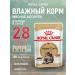 ROYAL CANIN Cat food moist Main Coon Maine Kun 85 g 28 pcs