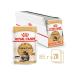 ROYAL CANIN Cat food moist Main Coon Maine Kun 85 g 28 pcs - Buy Online on GoSupps.com